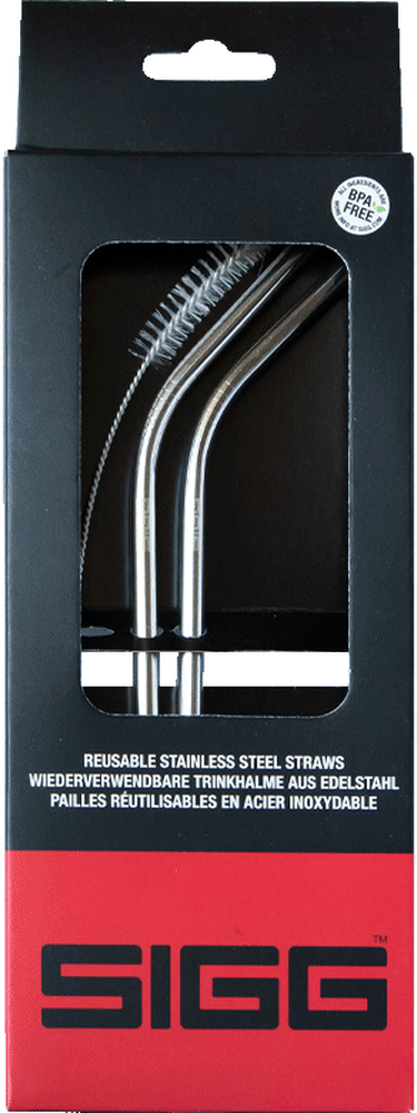 Stainless Steel Straw Set of 2